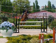 COATA L QUITE CampITA2013- S5 1371 : COATA LUCA, Campionati Italiani 2013, Cattolica, Horse Riviera Resort, QUITE BEAUTY, foto di Stefano Secchi ©